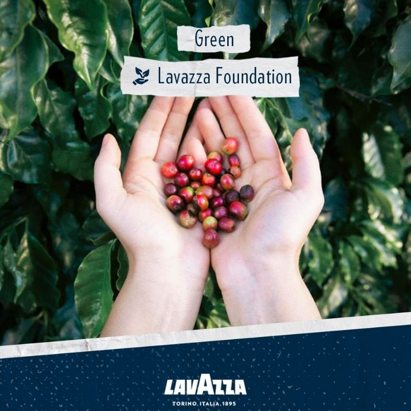 lavazza-sustainable-coffee-culture-05